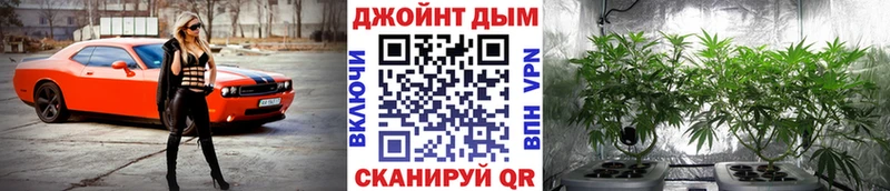 купить закладку  Зеленогорск  Конопля Amnesia 